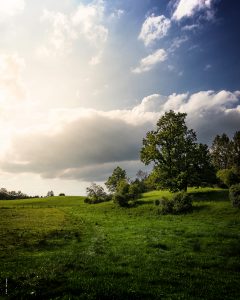 Die Sonne bricht durch mächtige Wolken am blauen Himmel über einer tiefgrünen Wiese mit einzelnen Bäumen